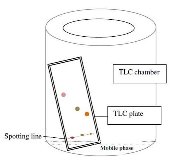 آنالیز کروماتوگرافی لایه نازک (TLC) با گزارش حرفهای